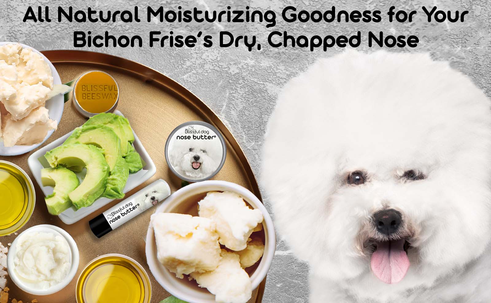 bichon frise skin care