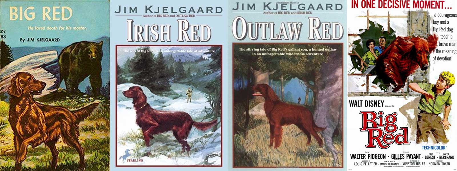 big red dog books irish setter