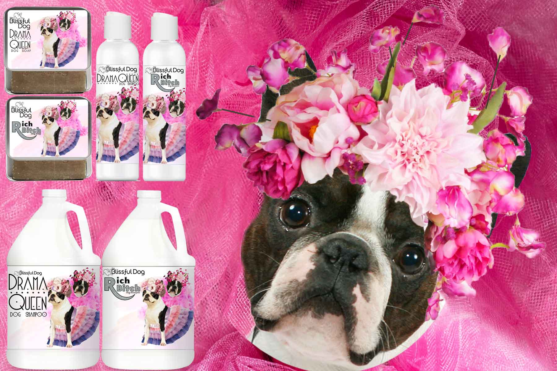 Boston Terrier luxury shampoo