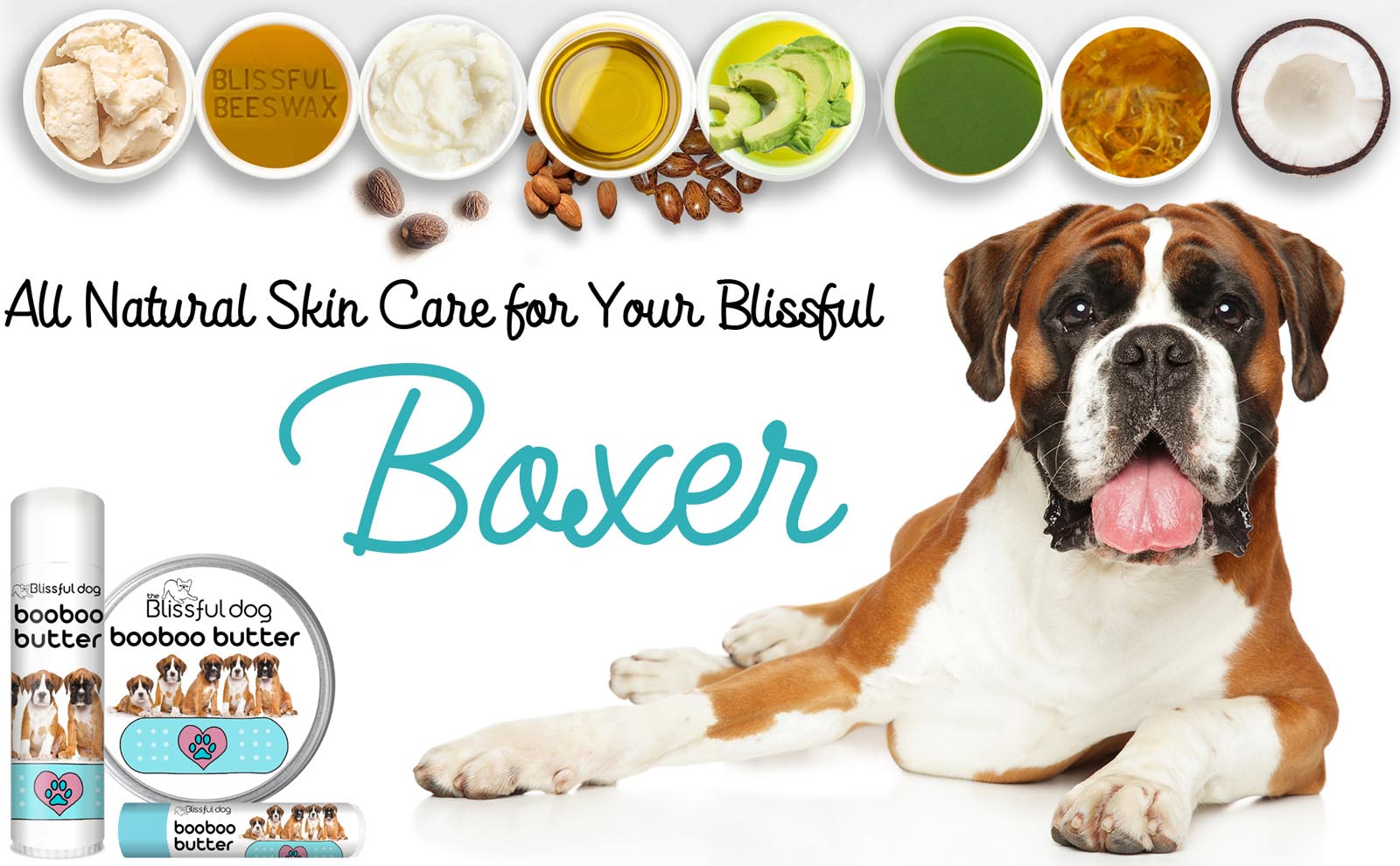boxer dog skin care