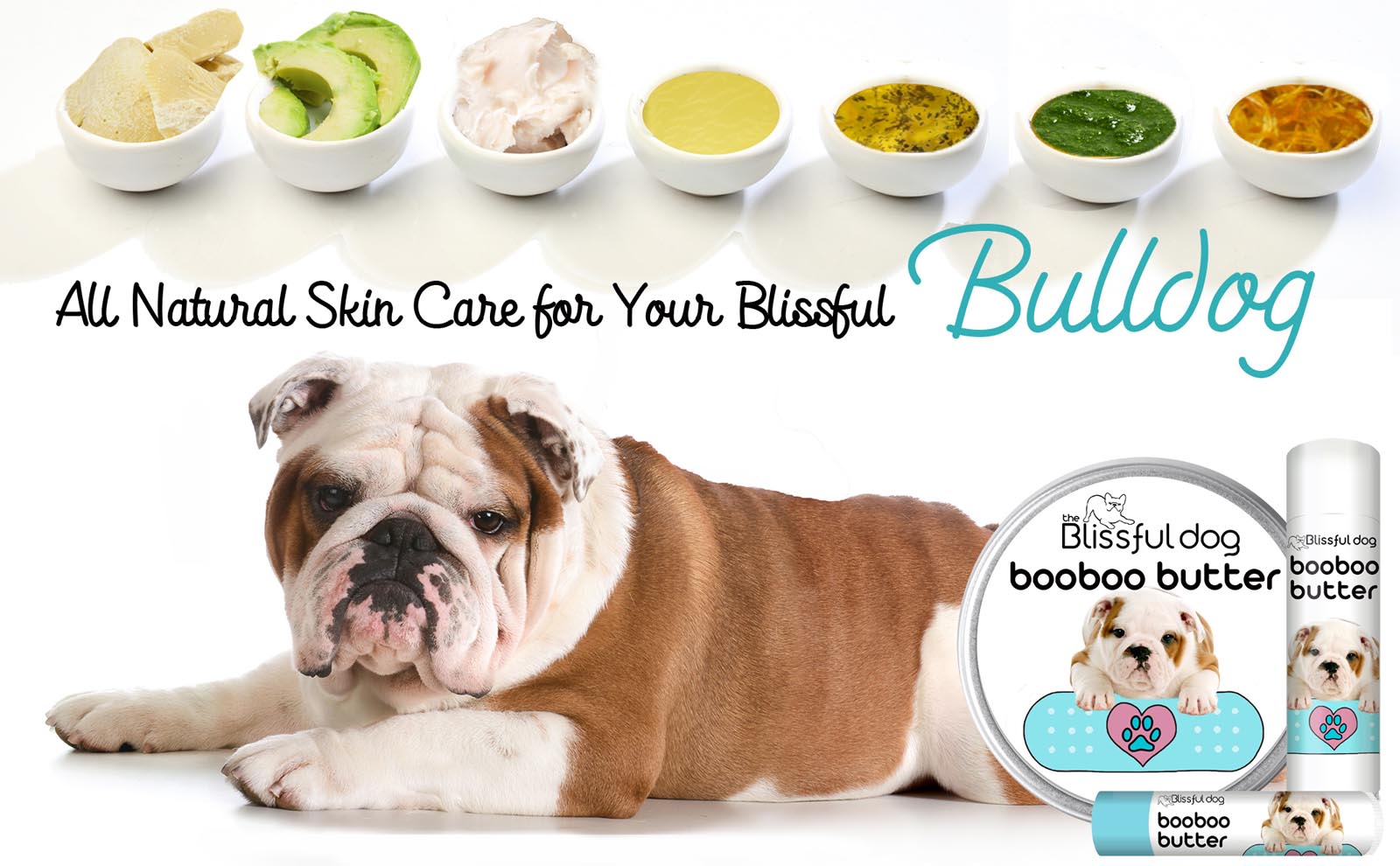 bulldog skin care