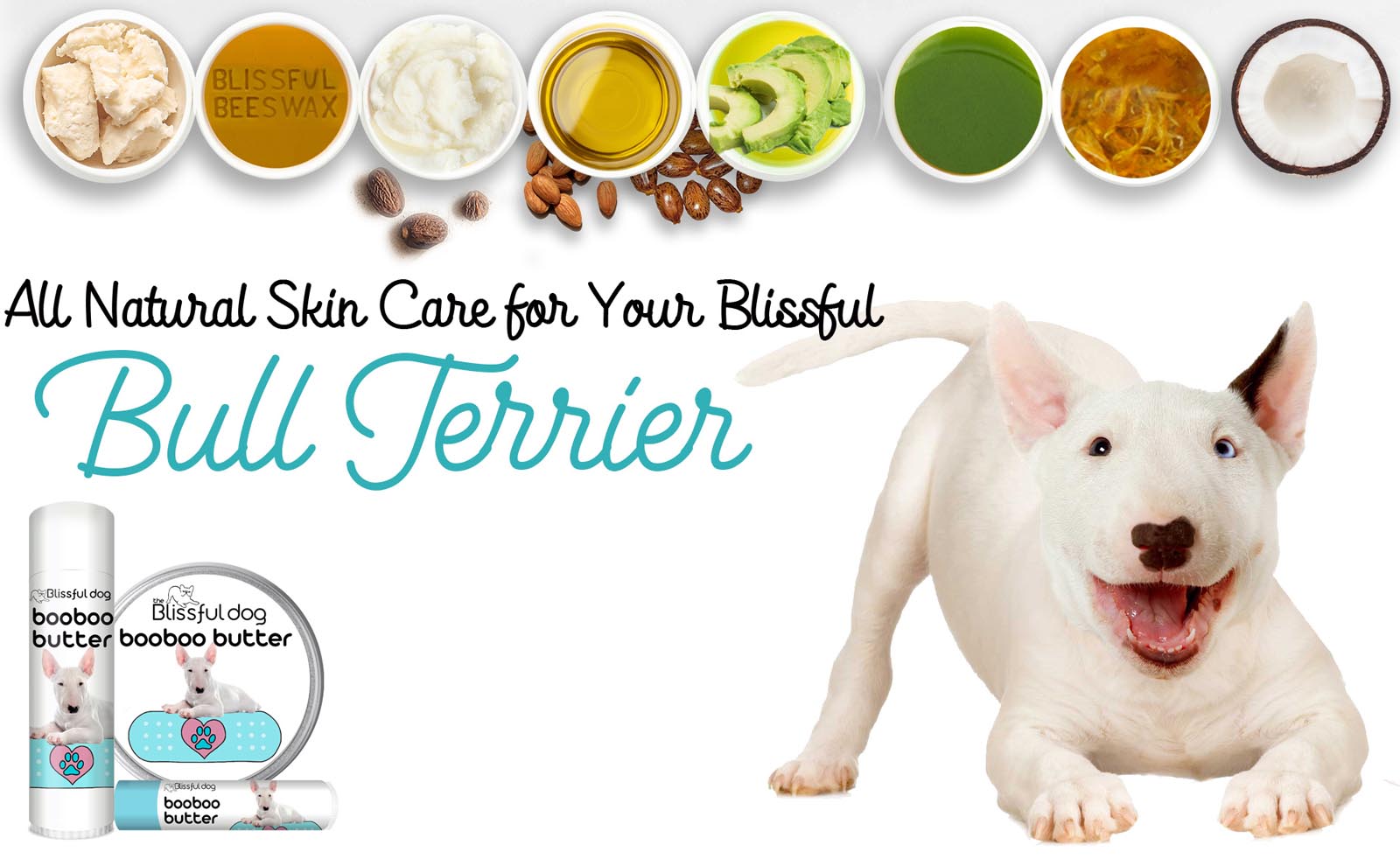 bull terrier skin care