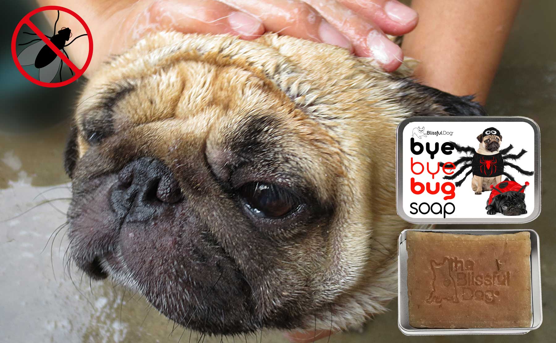 pug bug soap