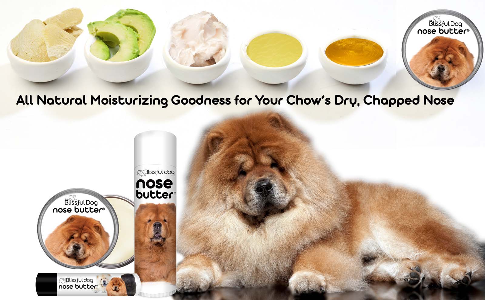 chow dog grooming