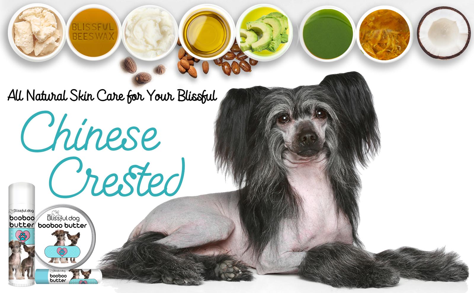 chinese crested skin care