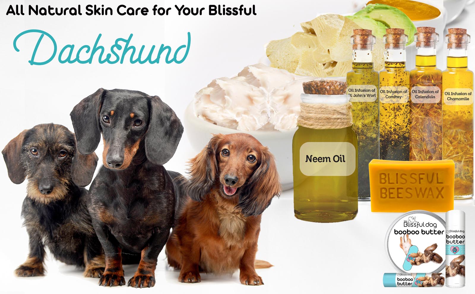 dachshund skin care balms