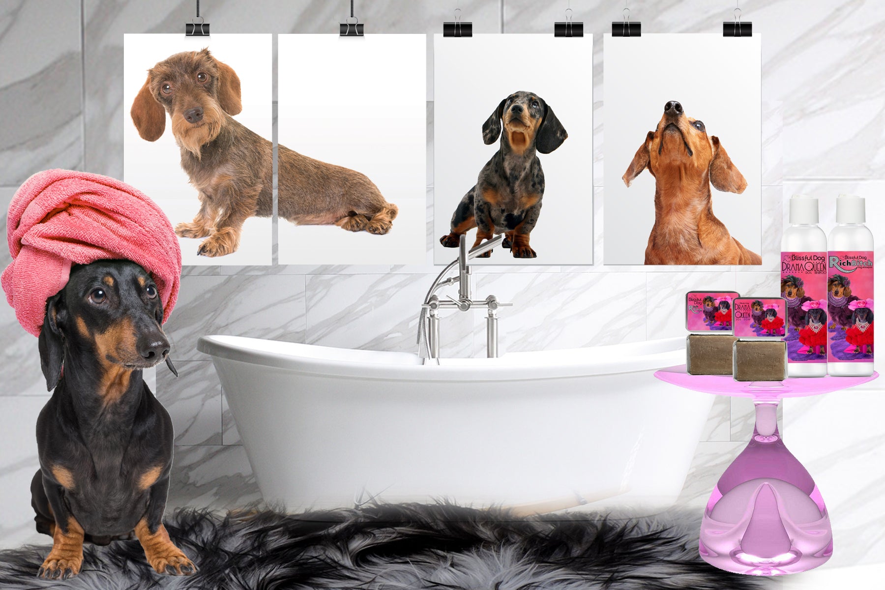 Dachshund luxury dog shampoo