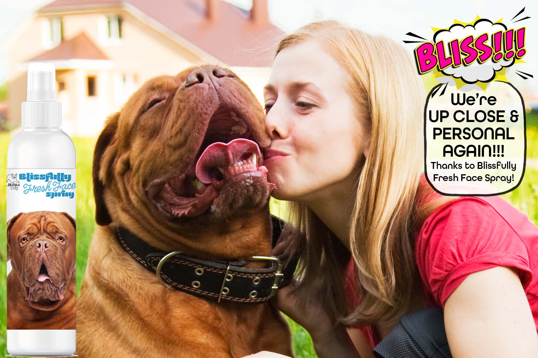 dogue de bordeaux with girl