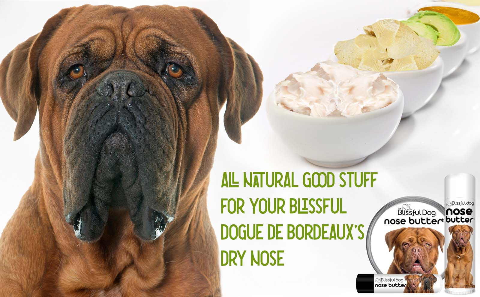 dogue de bordeaux dry nose