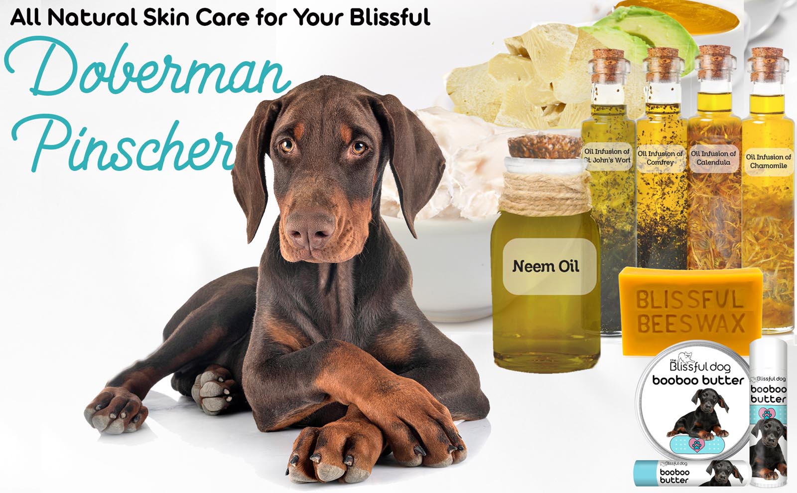 doberman pinscher all natural skin care