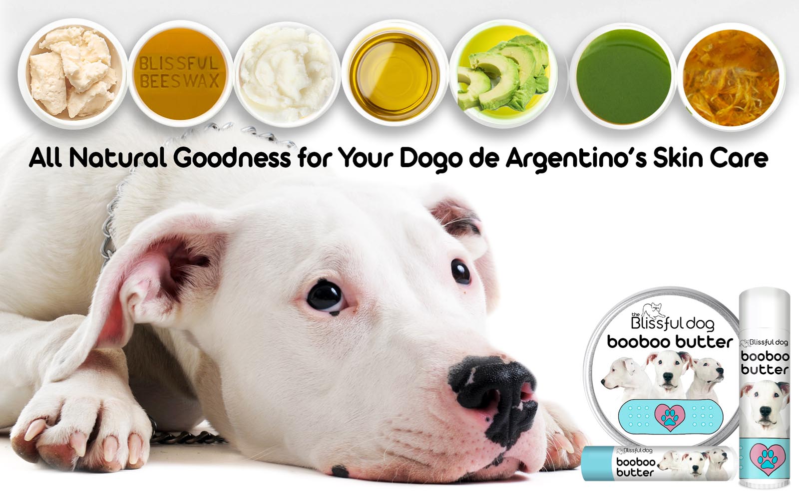 dogo de argentino skin care