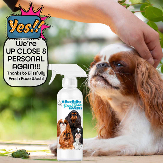 Blissfully Fresh™ Dog Ear Cleaner