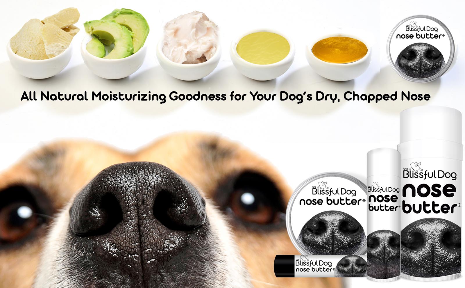 dog dry nose balm