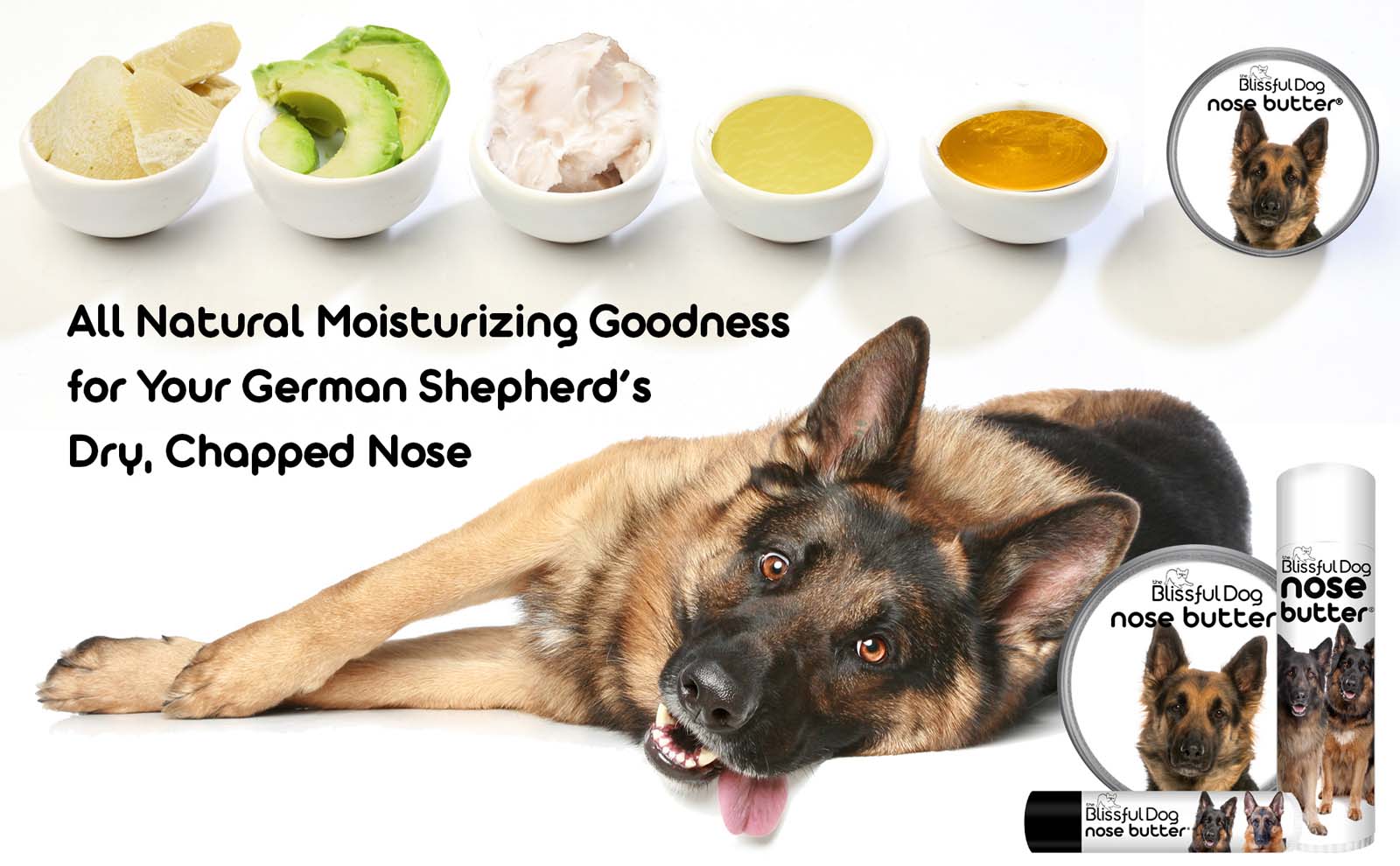 german shepherd dog nose care