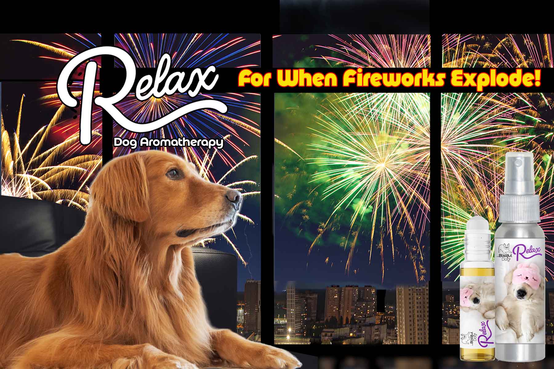 Golden retriever afraid of fireworks