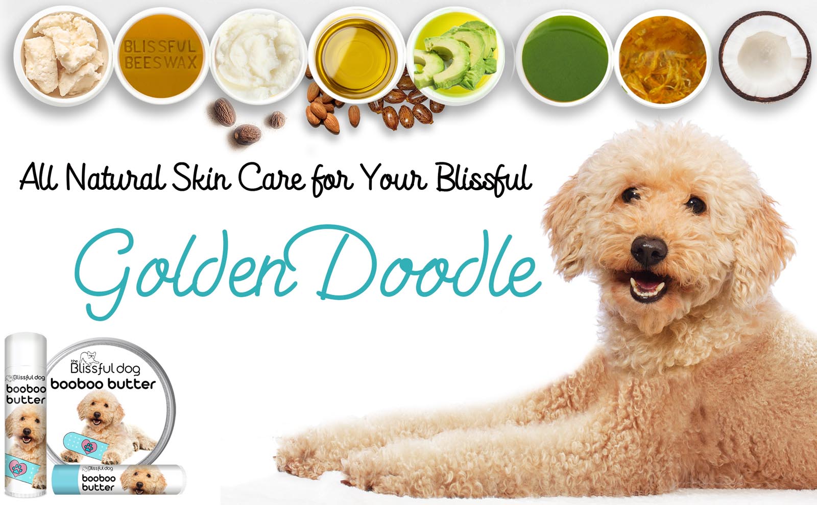 goldendoodle skin care