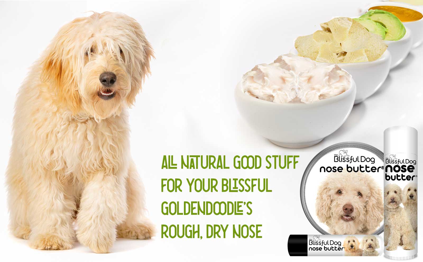 goldendoodle dry nose