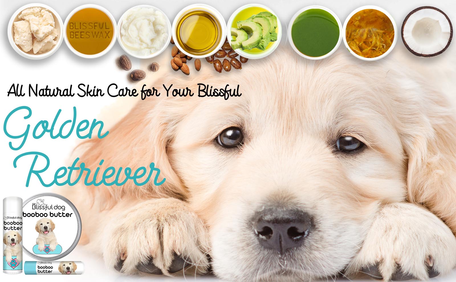 How To Care For Golden Retrievers