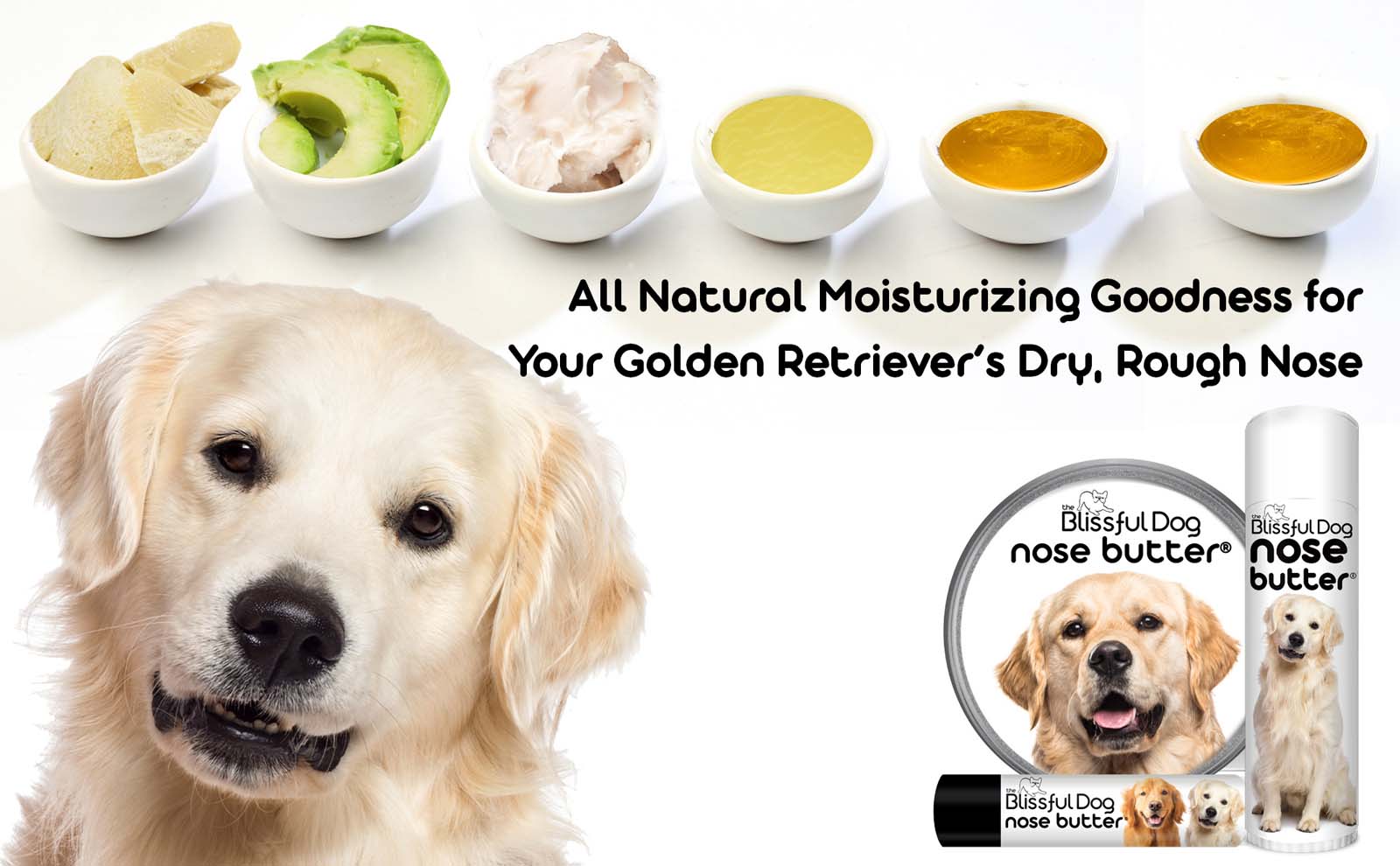 golden retriever grooming
