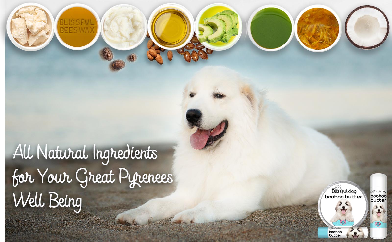 great pyrenees scratches