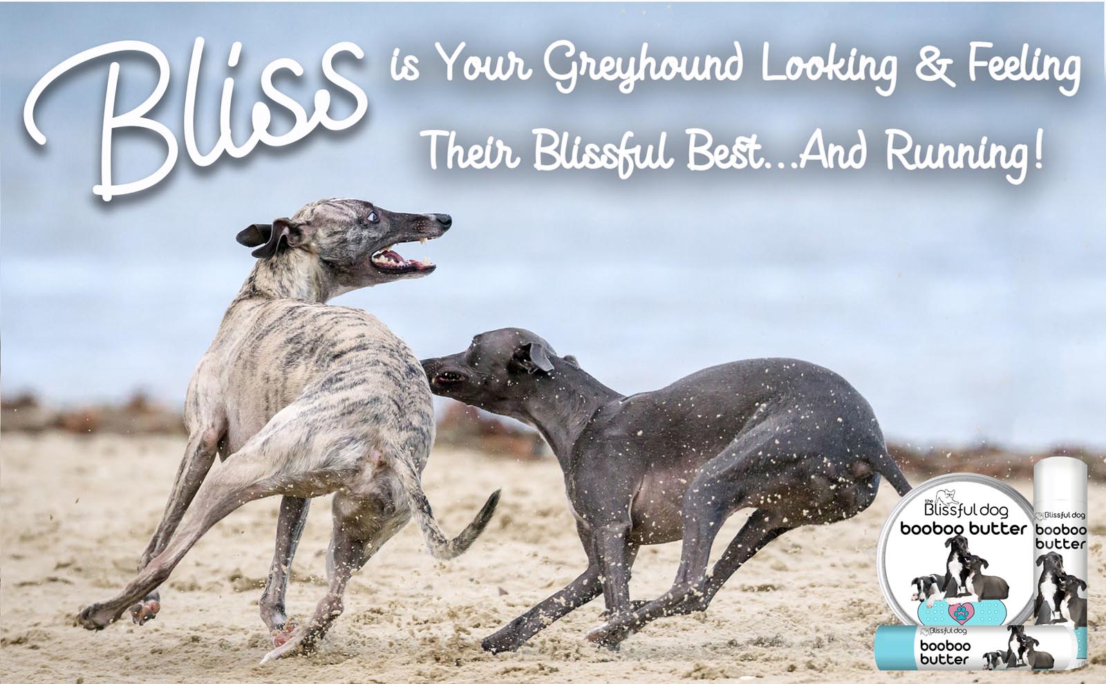 greyhound skin care