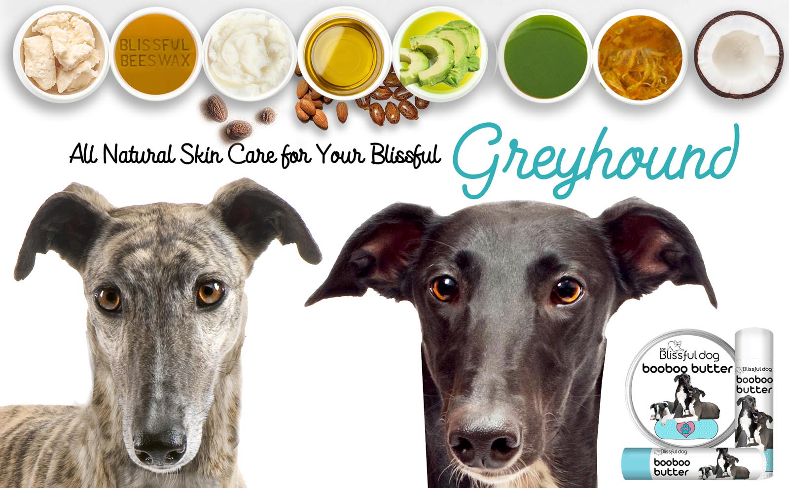 greyhound skin care