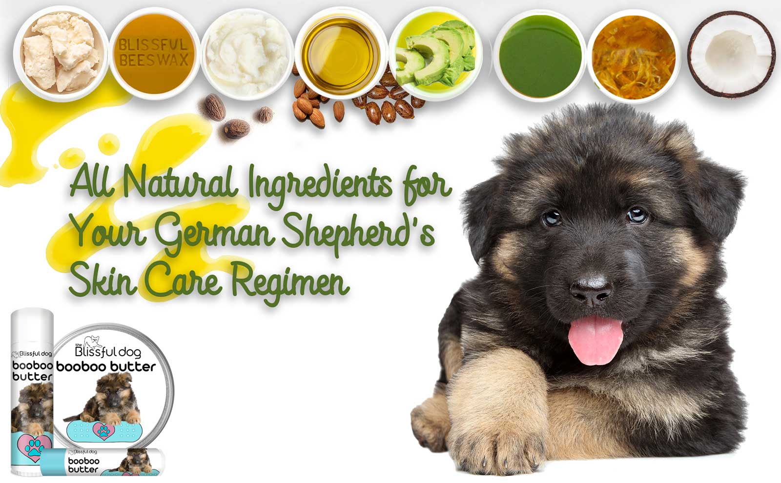 german shepherd puppy care