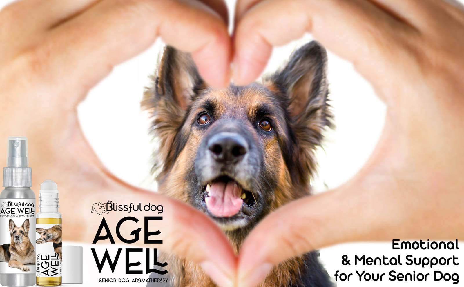 senior german shepherd care