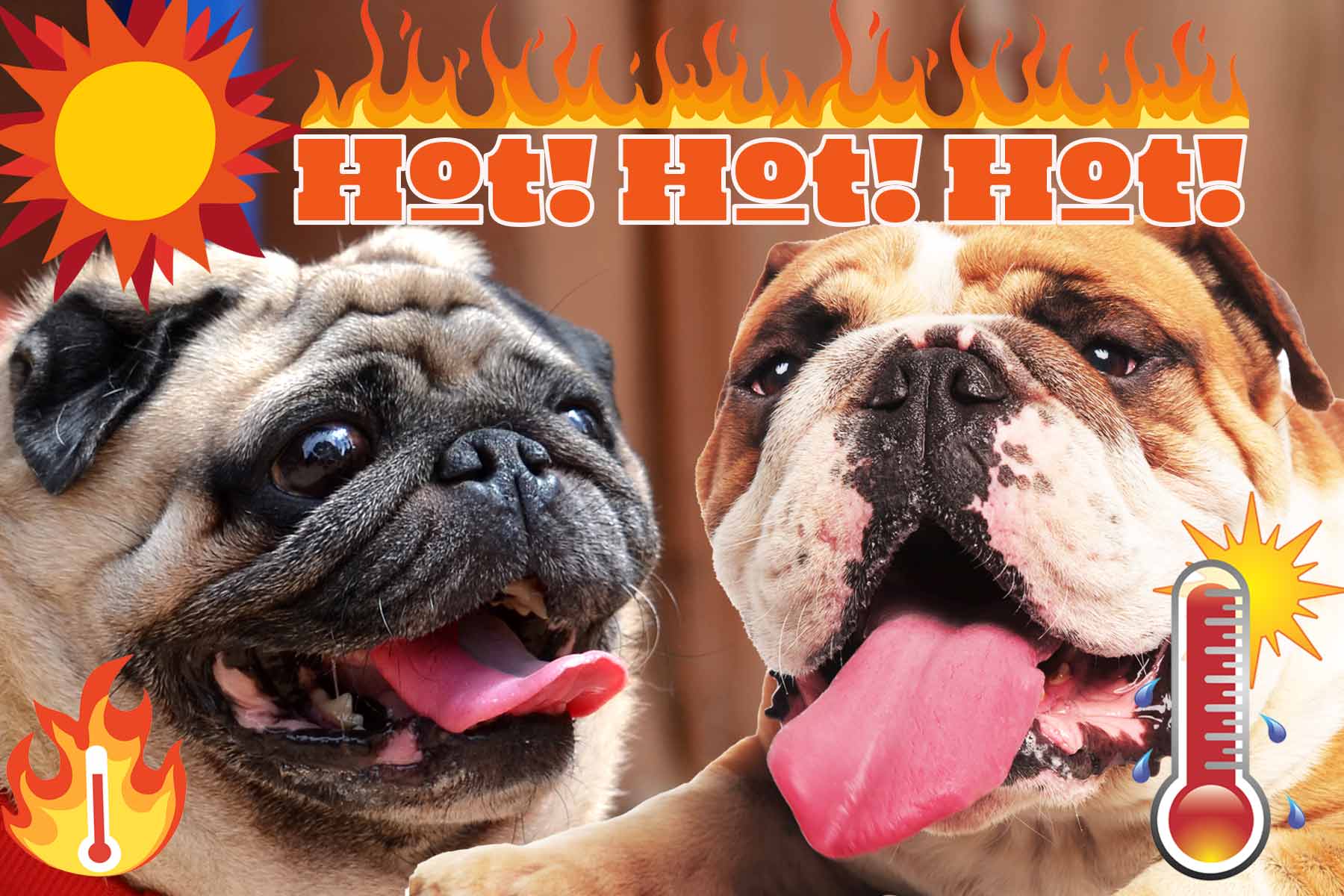 over-heated dogs