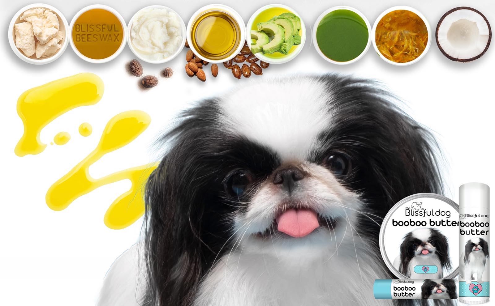 japanese chin grooming