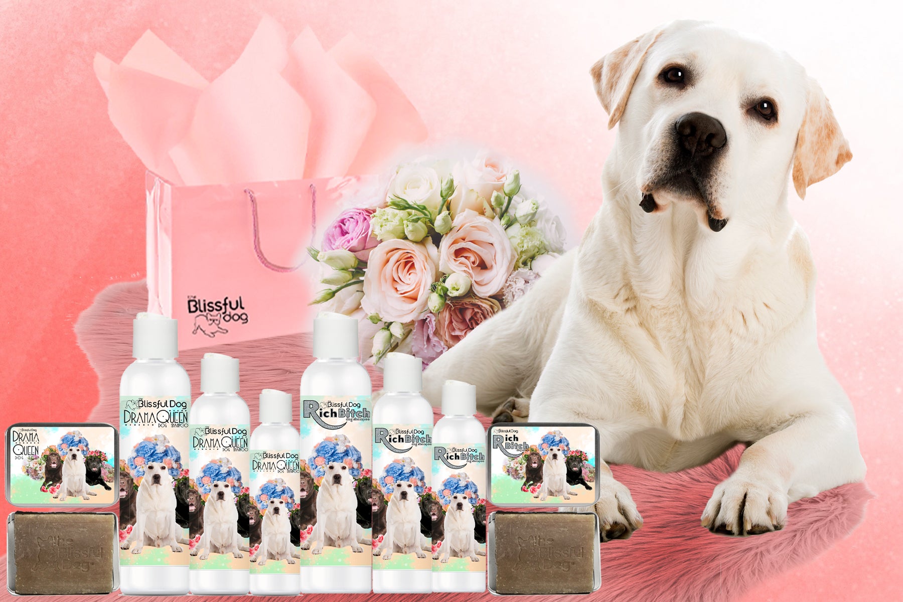 labrador retriever luxury shampoo