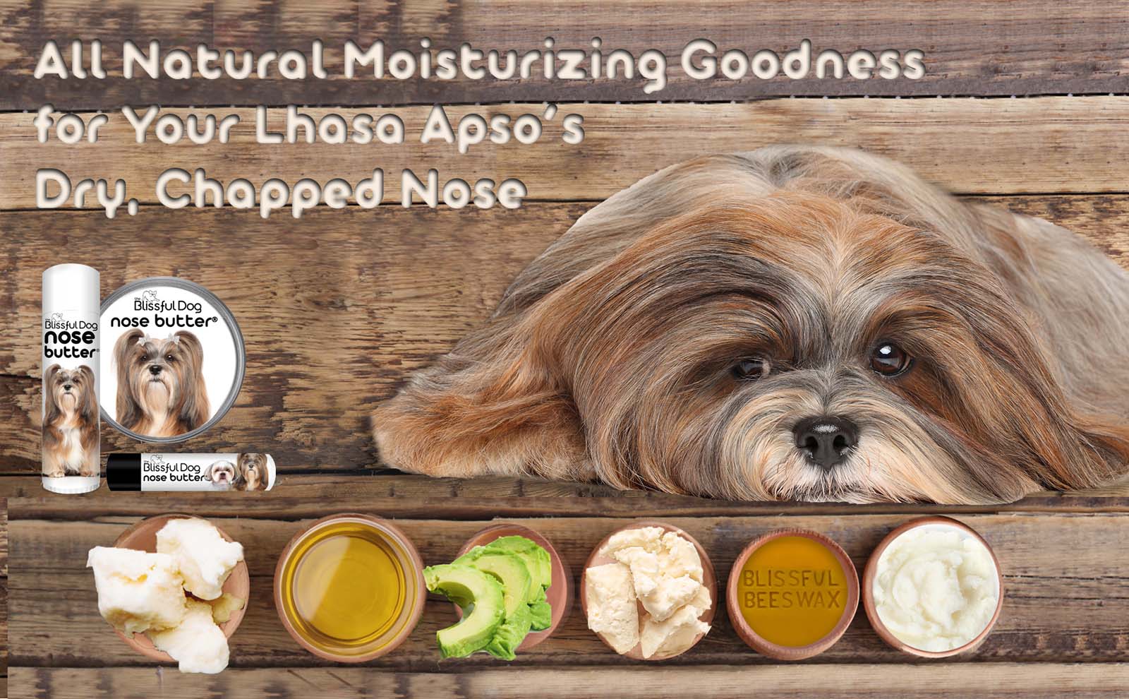 lhasa apso dry nose help