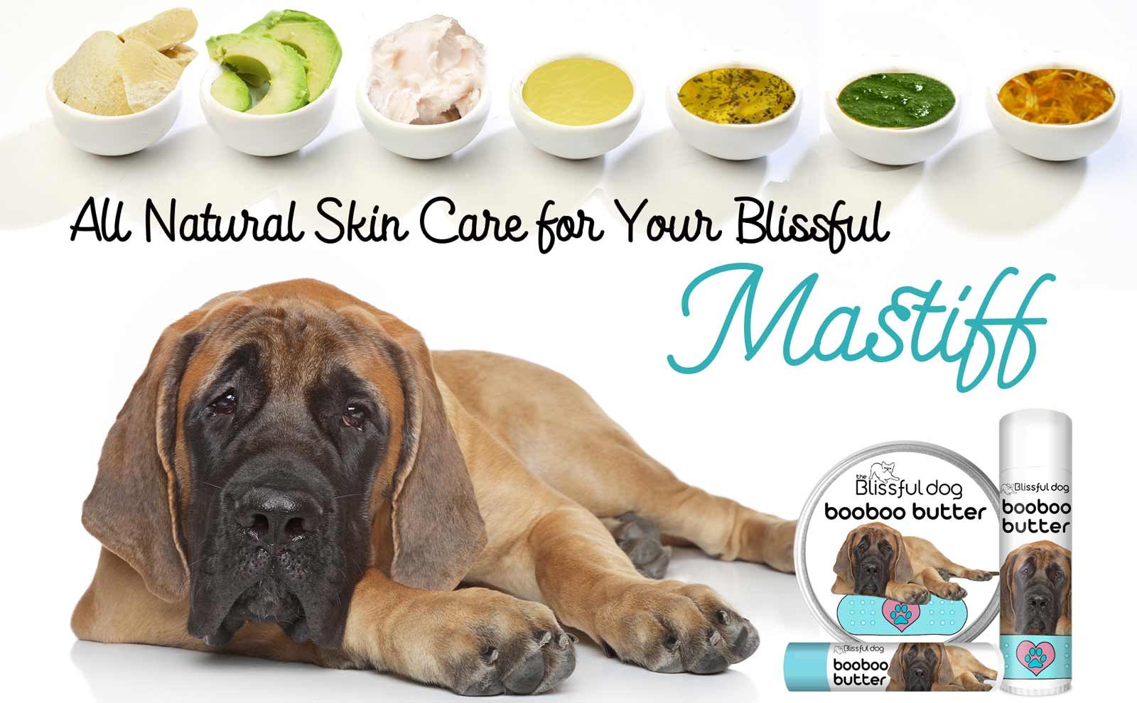 mastiff skin care