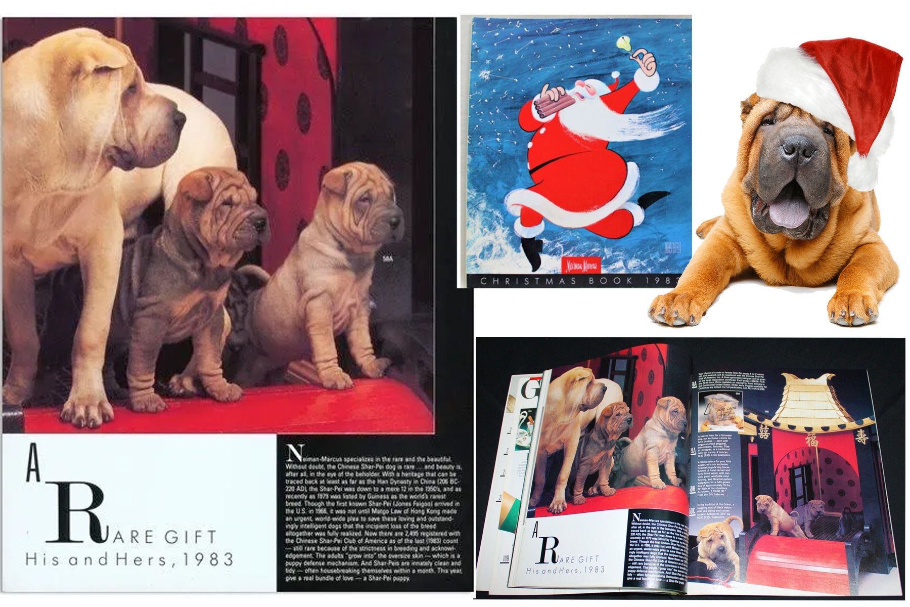 chinese shar-pei neiman marcus catalog