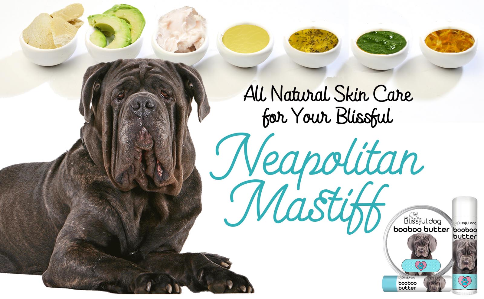 neapolitan mastiff dry skin