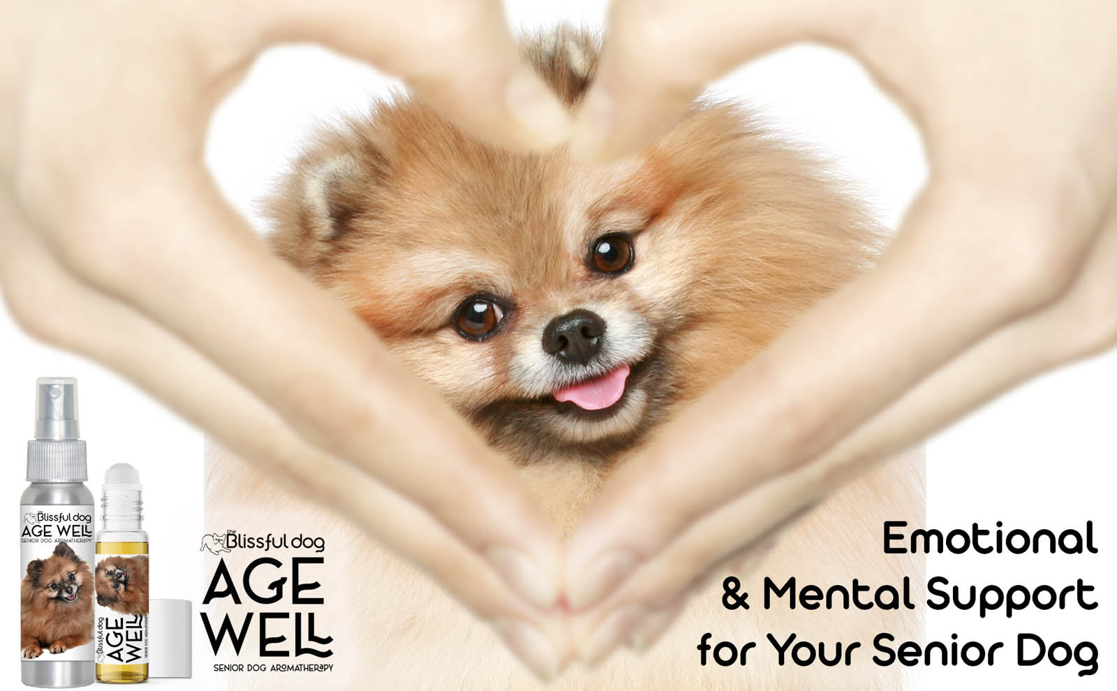 senior pomeranian aromatherapy