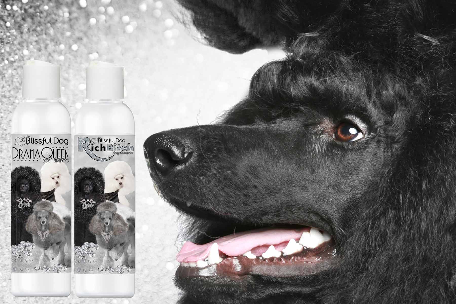 poodle dog luxury shampoo