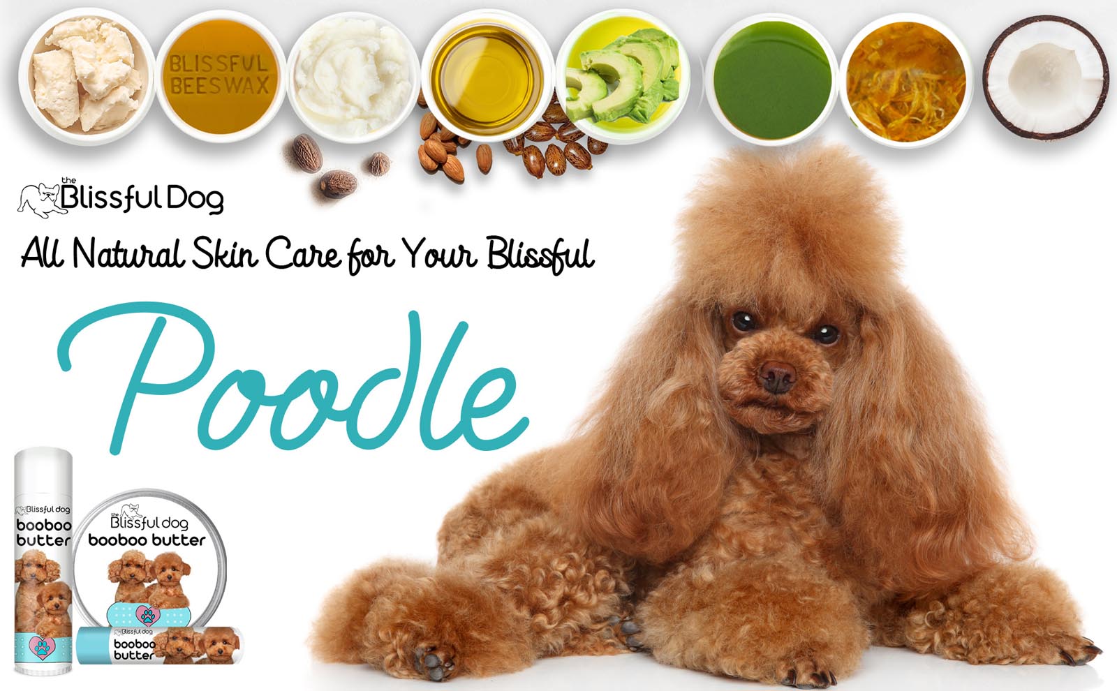 poodle skin care