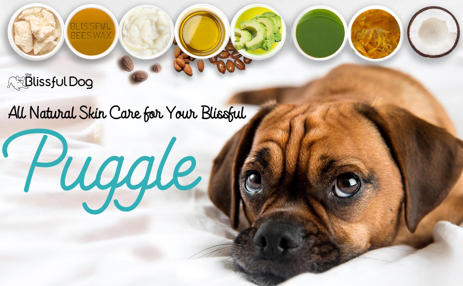 puggle care