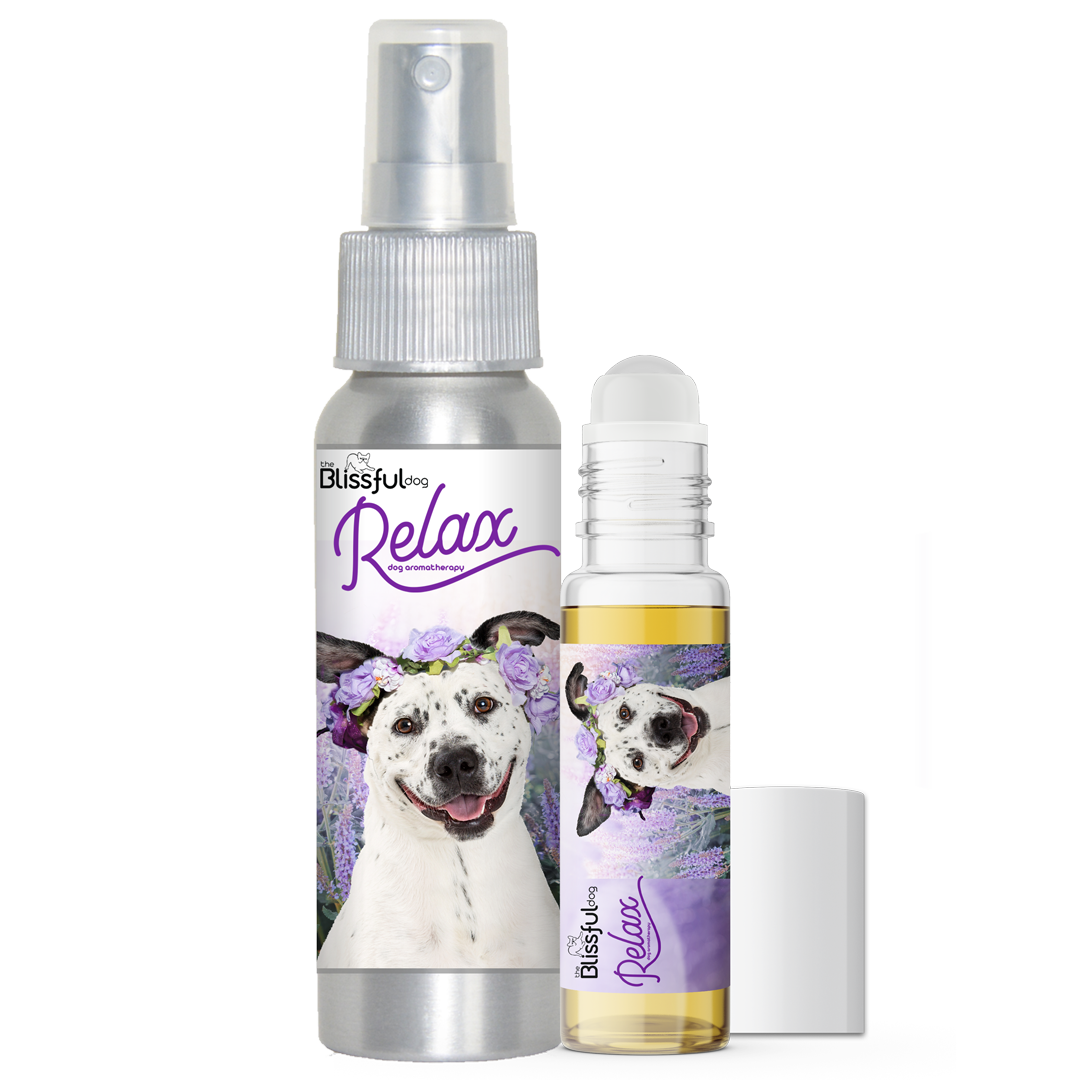 can dogs use nasal spray