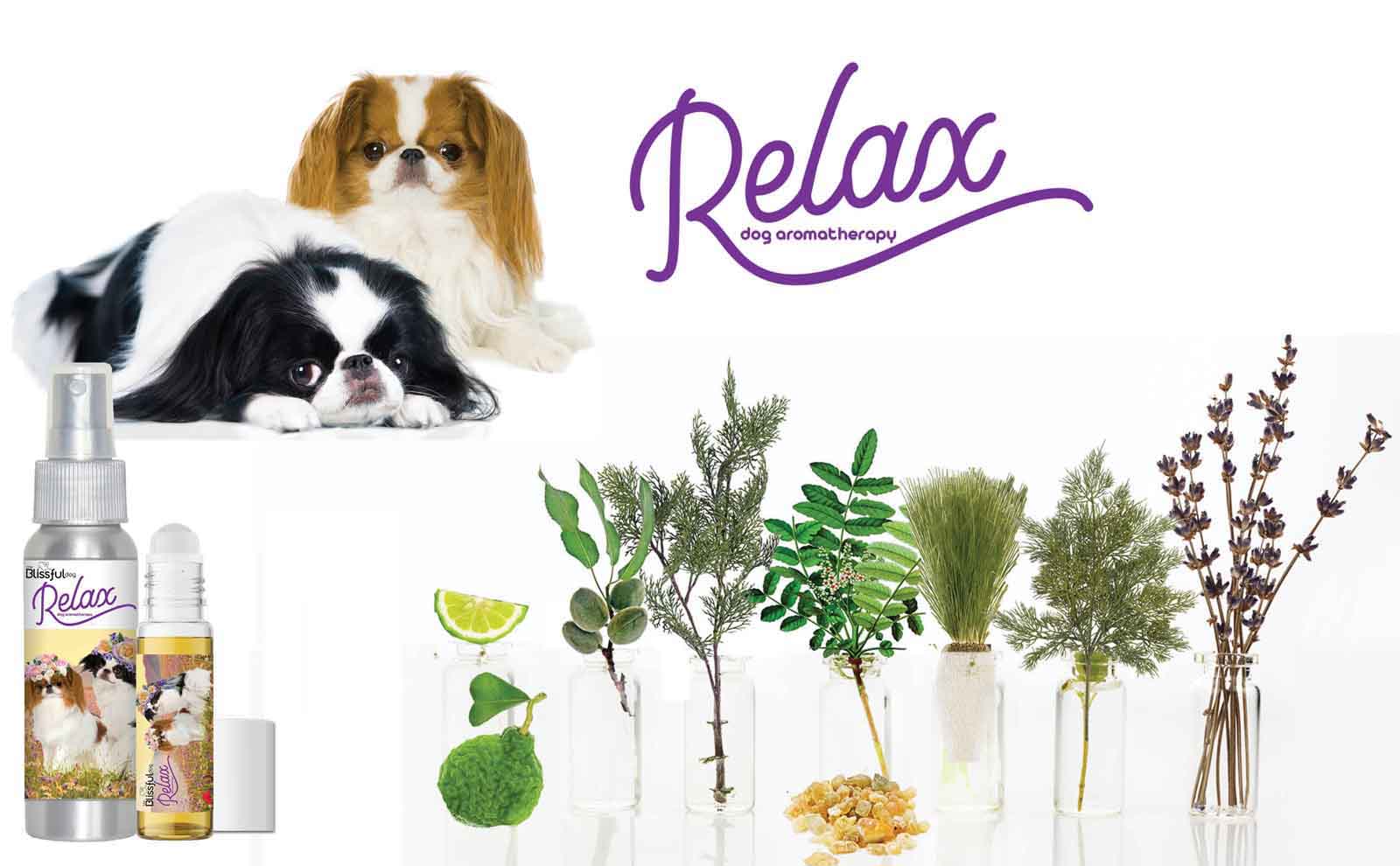 japanese chin aromatherapy