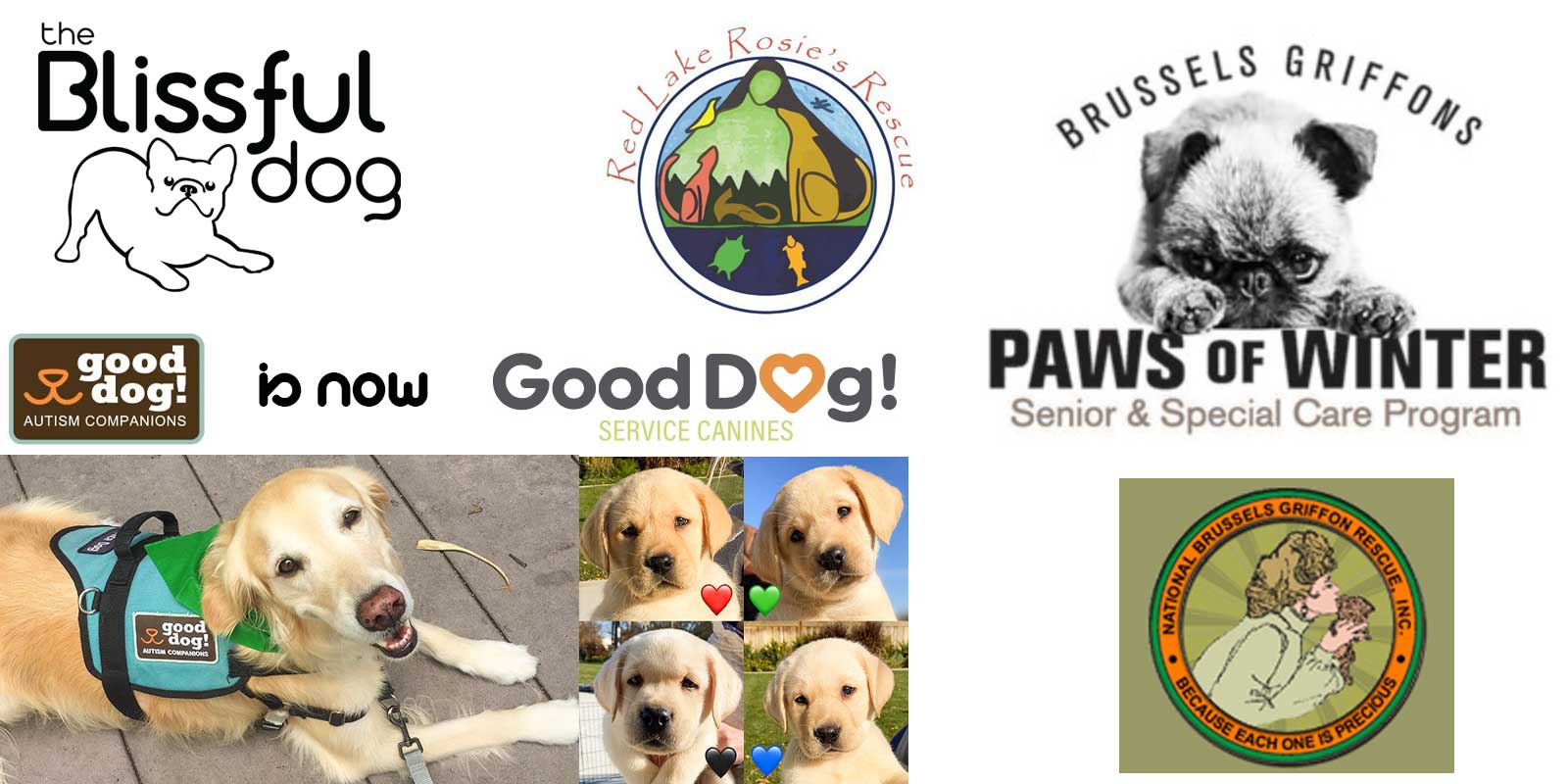 blissful dog rescue program