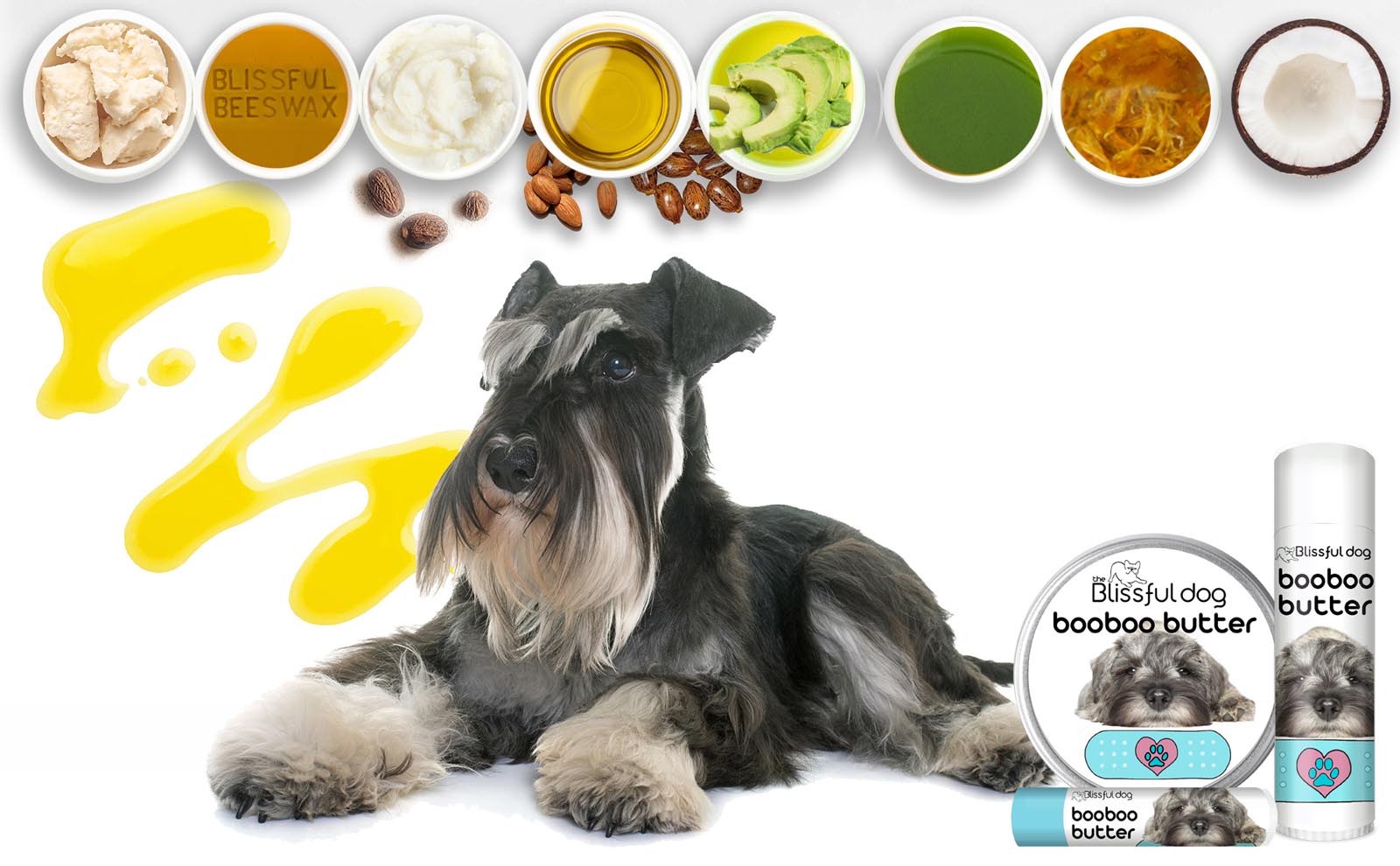 schnauzer skin care