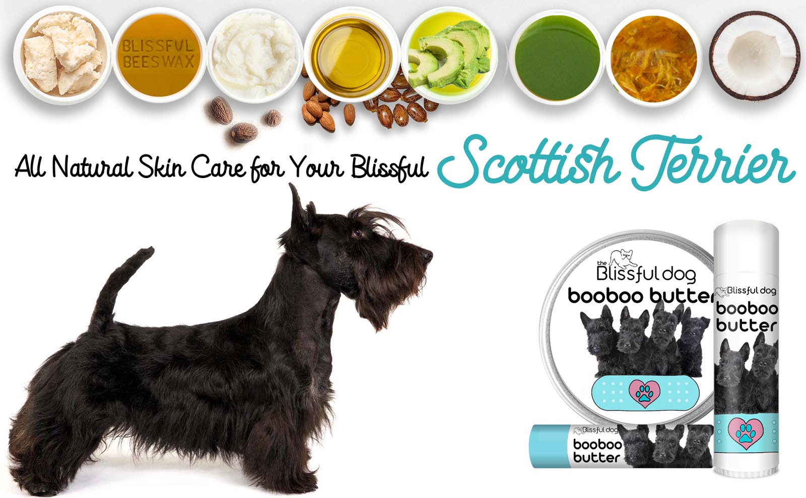 scottish terrier skin care