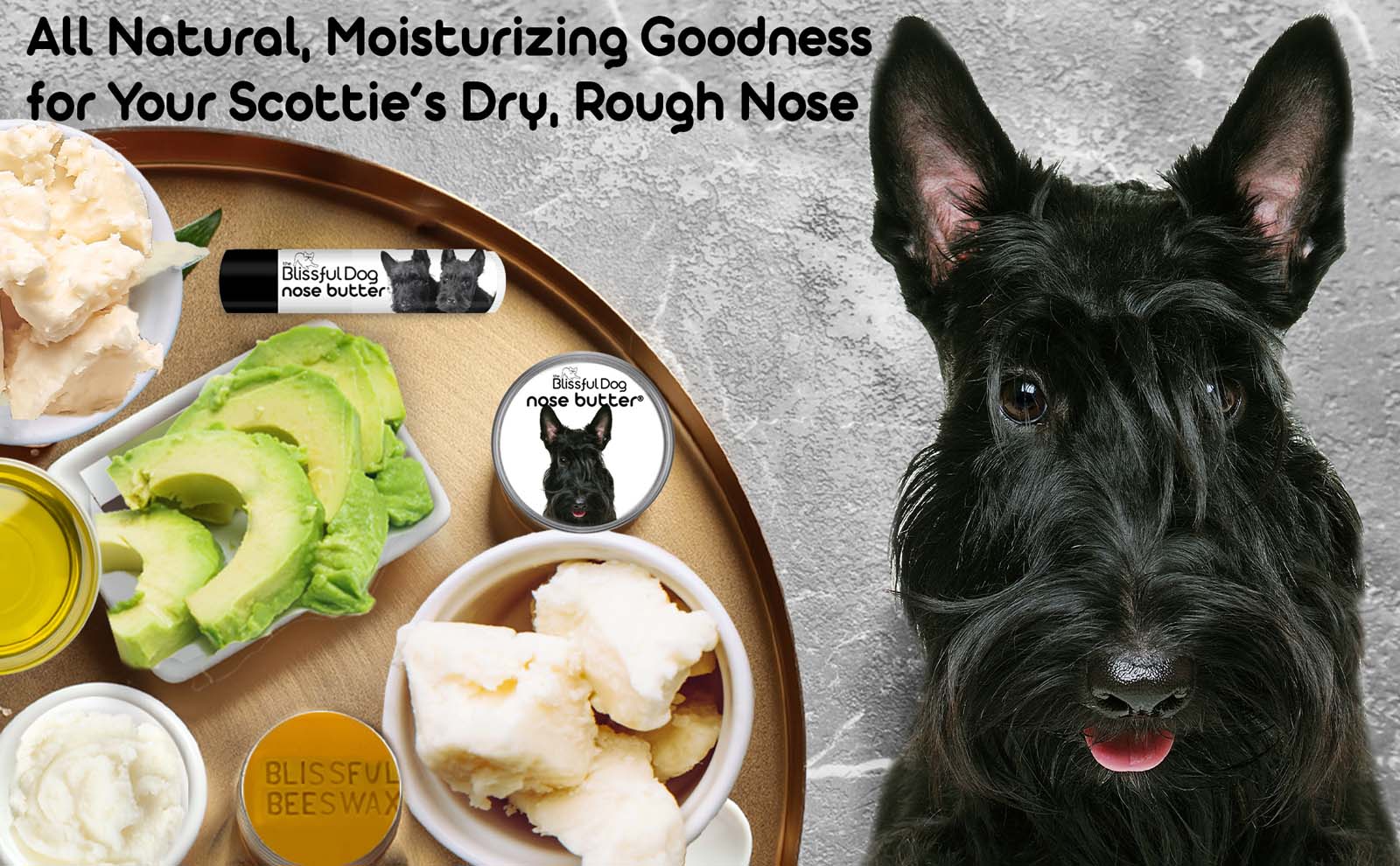 scottish terrier all natural care
