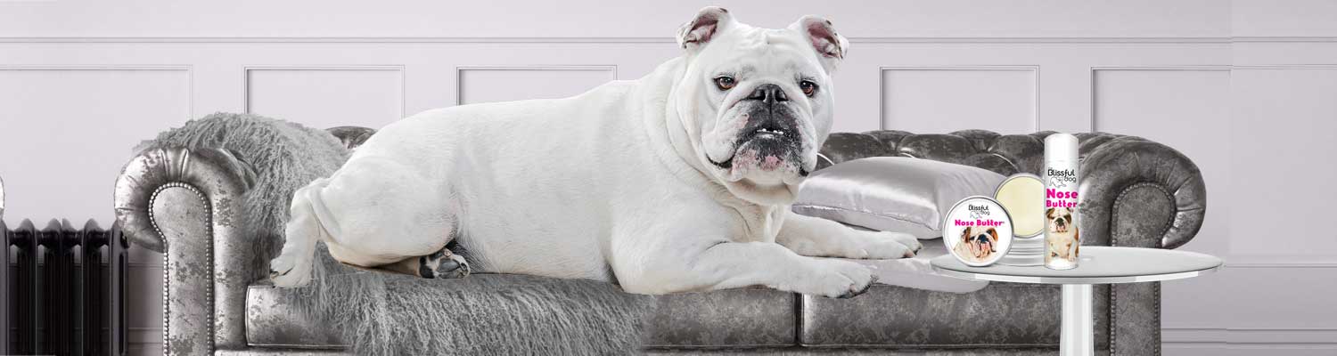bulldog sofa