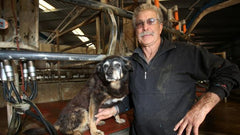 maggie the world's oldest dog died today