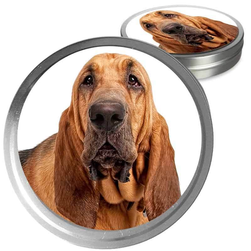 do all bloodhounds stink