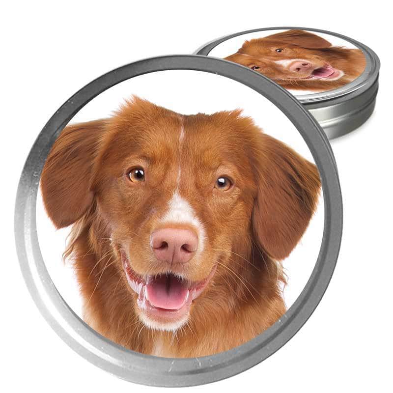 how much does nova scotia duck tolling retriever maintenance cost