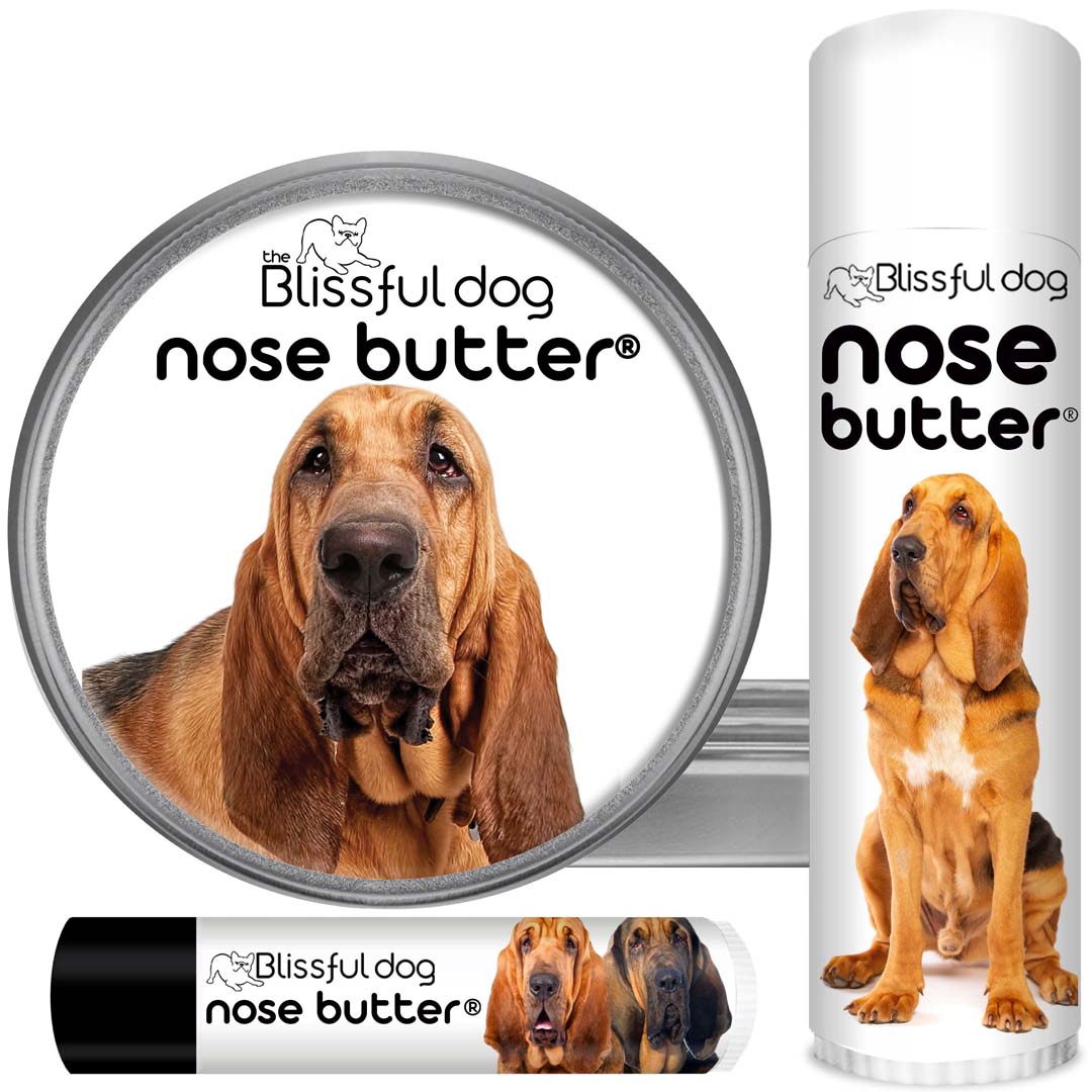 how strong is a bloodhounds nose